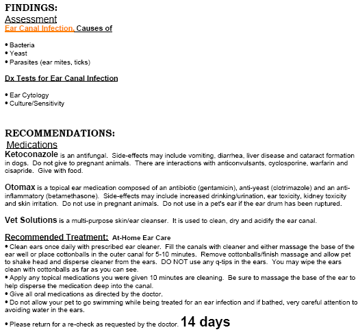 View VetNotes PDF