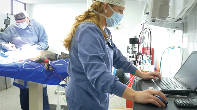ImproMed Veterinary Software - Countryside Surgery