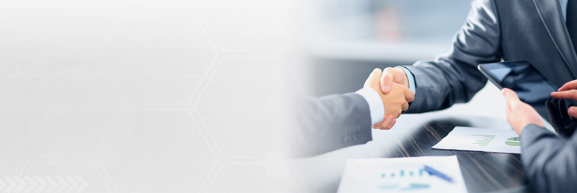 Integration Partners