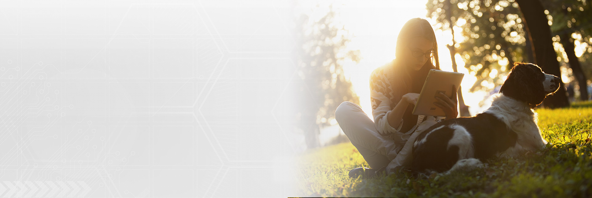 Henry Schein ImproMed - Practice Solutions